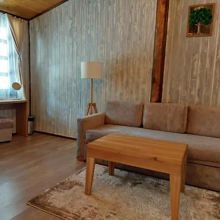 Отель Complex Barite