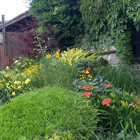 Complex Barite Chernevo