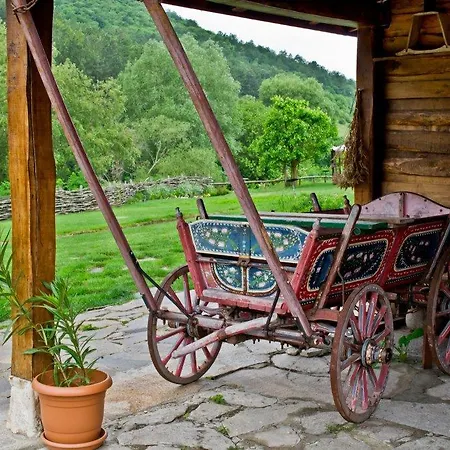 Complex Barite Chernevo