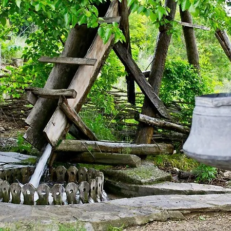 Отель Complex Barite Chernevo